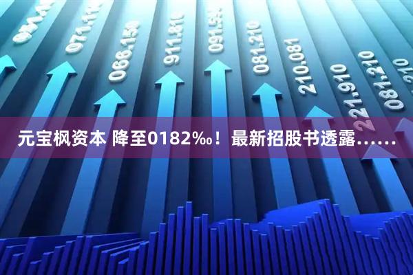 元宝枫资本 降至0182‰！最新招股书透露……