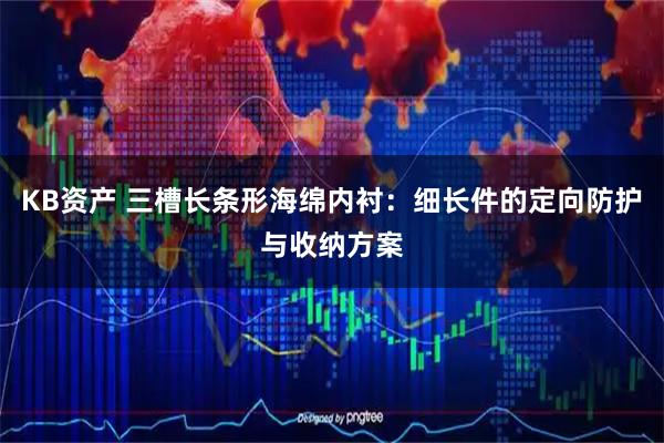 KB资产 三槽长条形海绵内衬：细长件的定向防护与收纳方案